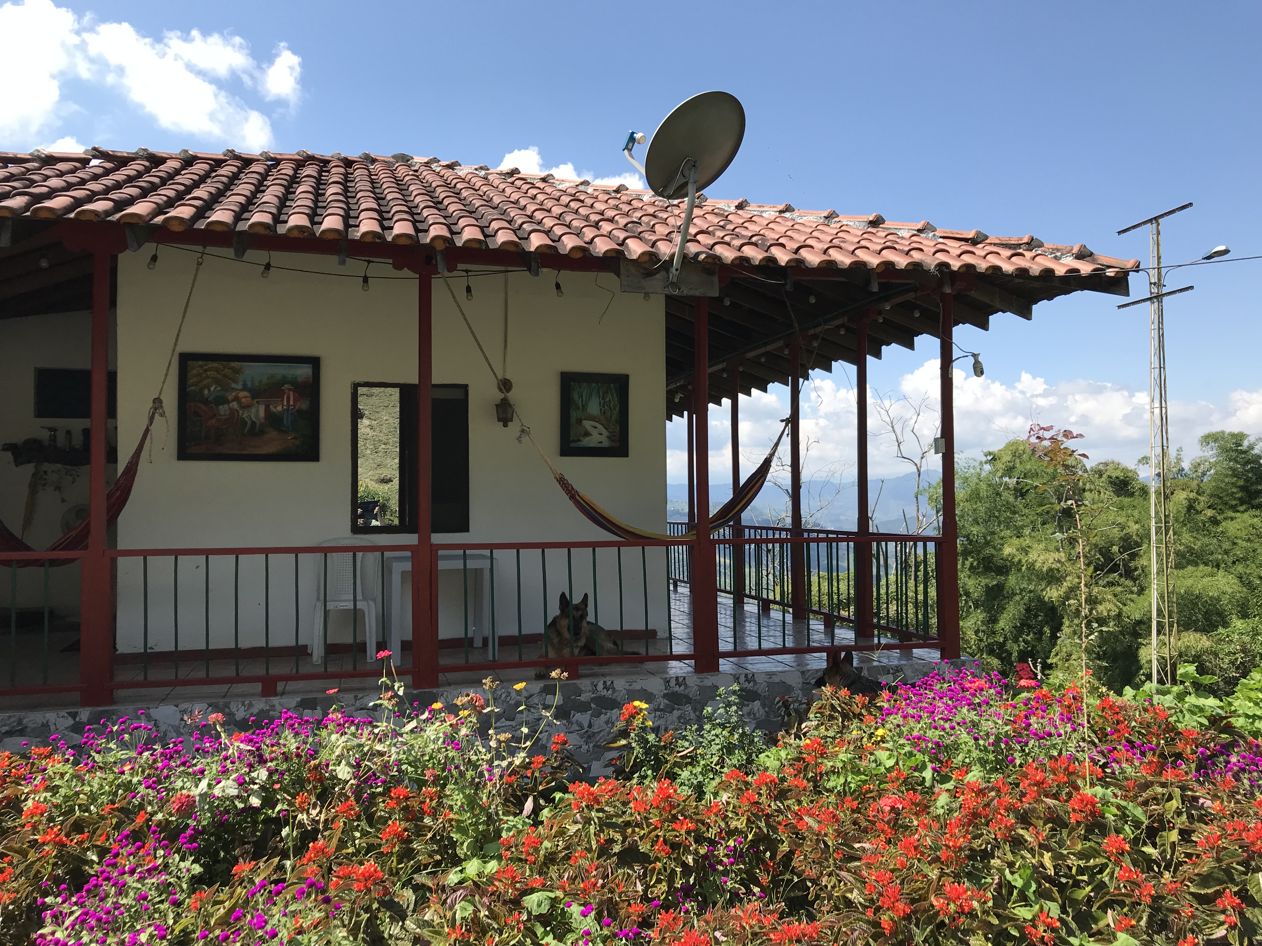 Arquitectura Cafetera